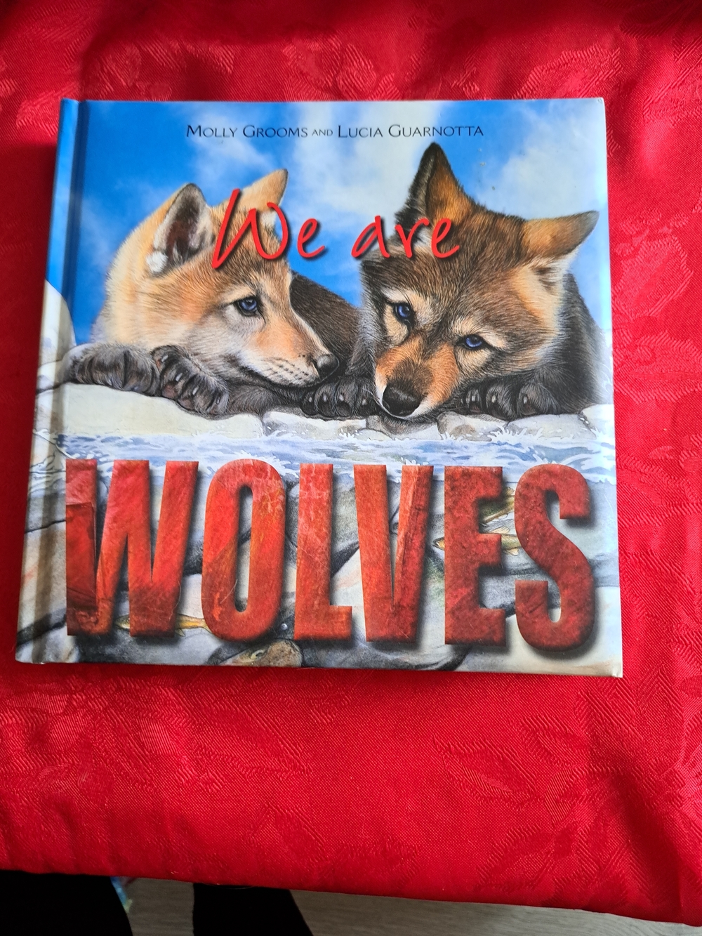 We Are Wolves Picture Book - Blue / Red Cover